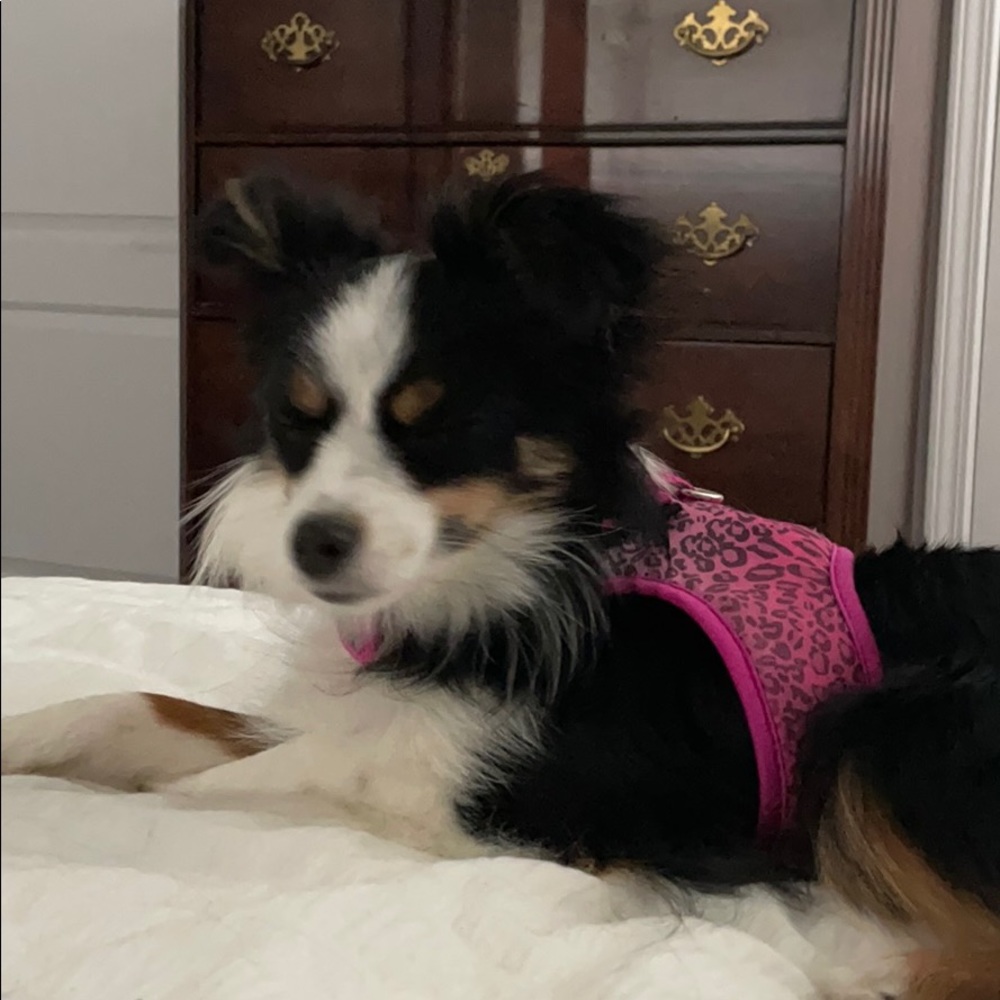 Meet your Posher, Melanie